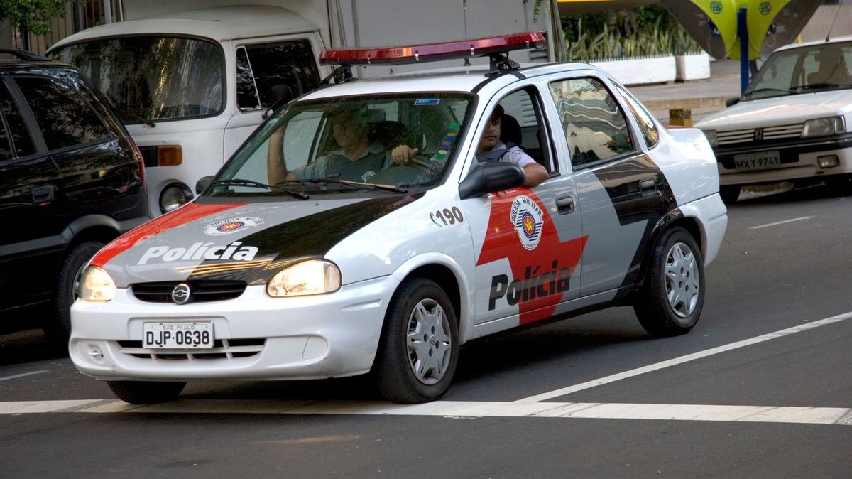 Zloději uloupili z knihovny v Sao Paulu grafiky Matisse a Porinariho